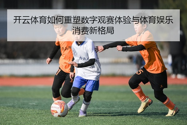 开云体育如何重塑数字观赛体验与体育娱乐消费新格局